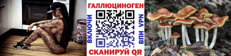 маркетплейс какой сайт  купить наркотик  Неман  Галлюциногенные грибы MAGIC MUSHROOMS  ОМГ ОМГ вход 