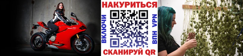 Шишки марихуана OG Kush  ссылка на мегу ССЫЛКА  Неман 